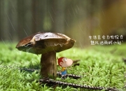 LOL赛事-绿色革命，当足球打破神话，赛车冲出迷雾