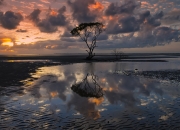 LOL赛事-国王詹姆斯领军击溃马刺，浓眉戴维斯关键先生定胜局