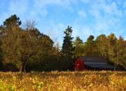 英雄联盟总决赛赛程-恩比德照亮菲尼克斯，当完美化身跨洋降临，凤凰城上演逆转神话