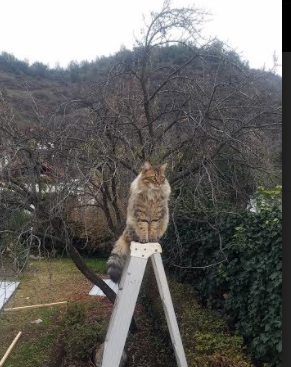 唯一性，历史如何被一分钟定义—从南非的绝杀到维尼修斯的接管时刻