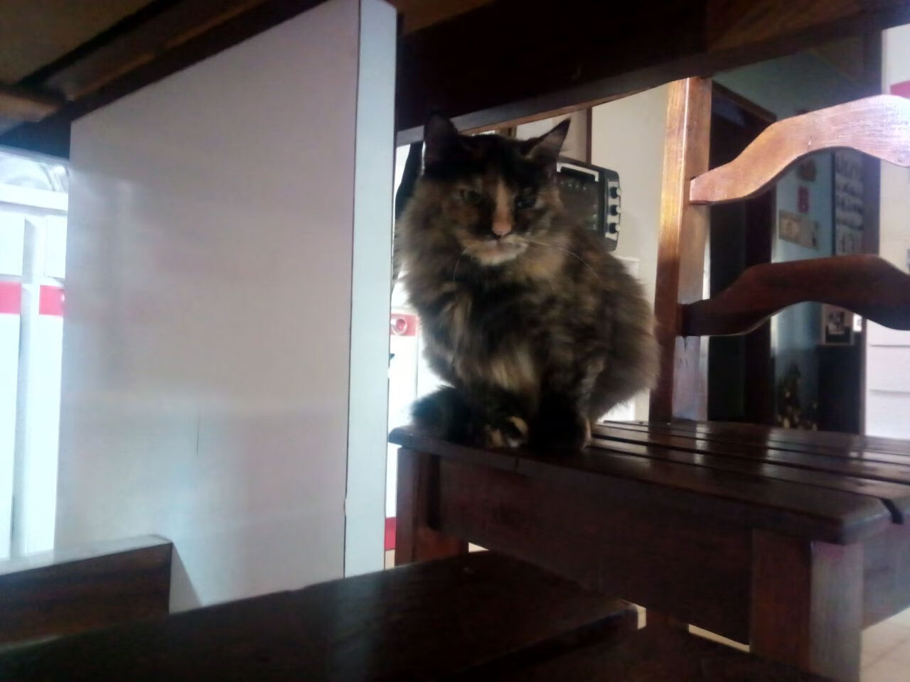 废土竞技场,莫兰特狂飙撕裂芝加哥铁幕