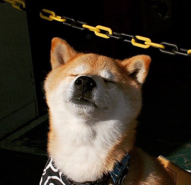 城市画布上的双星,尼斯法甲奇迹与F1街道上的绝对统治