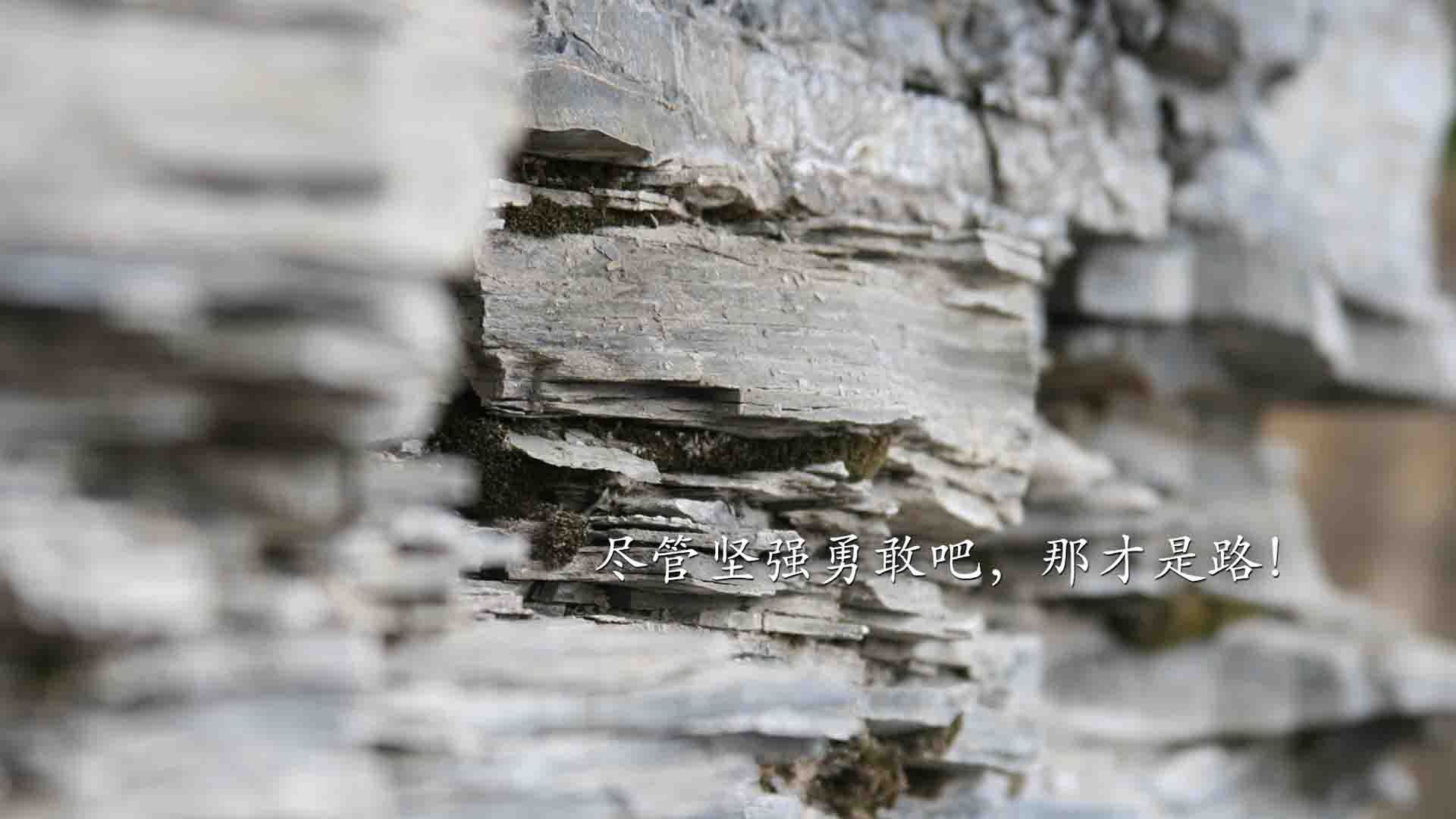 从美加墨到CBA,体育世界的以下克上之美