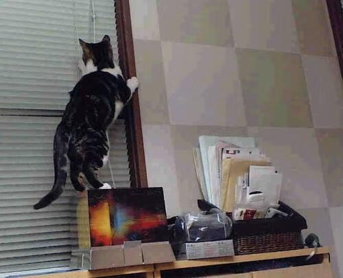 跨界风暴，曼联加时鏖战擒下加拿大，莫德里奇NBA总决赛上演王者归来