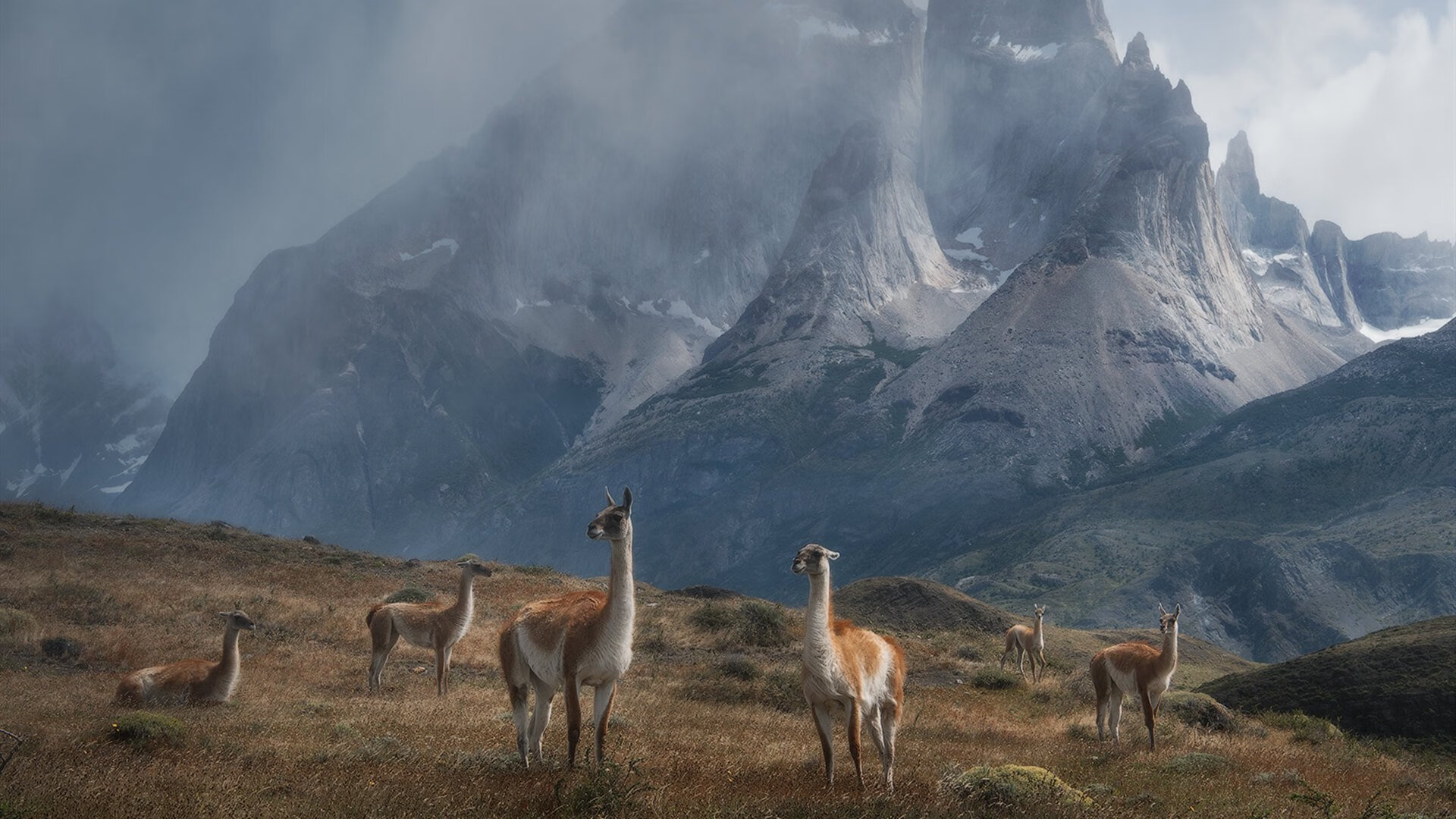 1.老兵不死！保罗末节封神导演横扫，马刺用火箭奠新王座