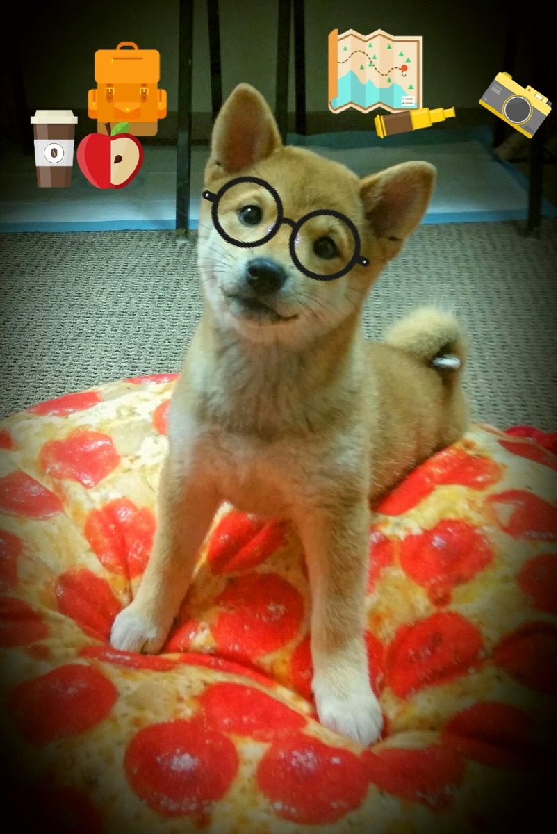 救赎之战，当巴黎的喧嚣遇见哥斯达黎加的寂静