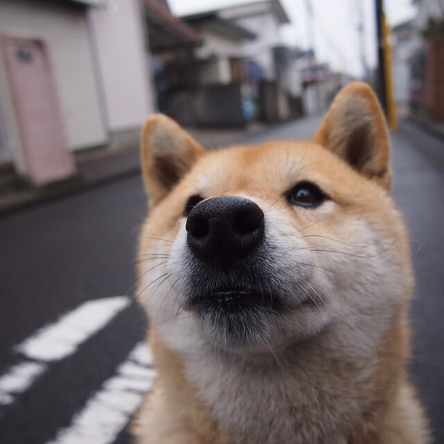 冰川与飓风的对决，2026世界杯，威尔士三分钟闪电击碎亚特兰大神话